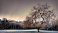 Arbre02_01_10n01