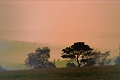 Brouillard20_09_08n03