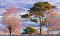 PAY_0017