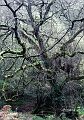 Pano06_11_09n01