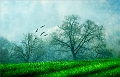 Paysage24_04_10n01
