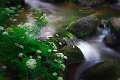 Paysage27_06_09n01