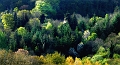 arbre26_04_09n04