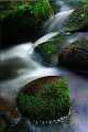 eau21_08_09n01