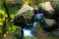 eau29_08_09n01