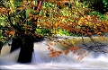 eau5