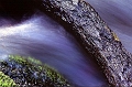 eau7