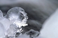 glace1