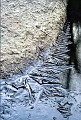 glace2