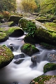 gouet17_10_08n01