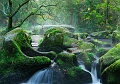 gouet17_10_08n05