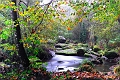 gouet25_10_08n01bis
