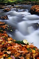 l'eau26_10_08n01