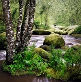 paysage01_05_11n01bis