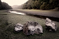 paysage03_09_11n02