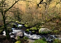 paysage11_03_11n01