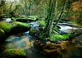 paysage13_03_11n01