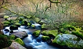 paysage13_03_11n02