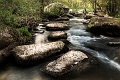 paysage13_05_10n02