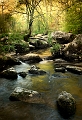 paysage13_05_10n03