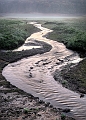 paysage13_11_11n02