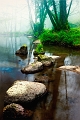 paysage16_04_11n02