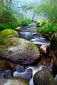 paysage16_04_11n03