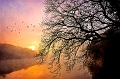 paysage18_04_10n07