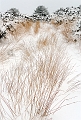 paysage19_12_09n04