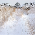 paysage19_12_09n06
