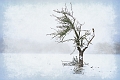 paysage19_12_10n01