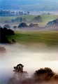 paysage21_03_11n06