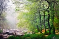 paysage23_05_10n05