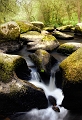 paysage24_04_11n01bis
