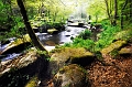paysage24_04_11n02bis