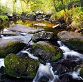 paysage24_09_11n01