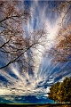 paysage27_02_11n01