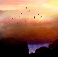 paysage27_08_11n01