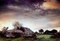 paysage29_12_11n01bis2