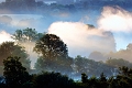 paysage3_07_11n02