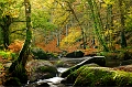 paysage8_11_2010n01