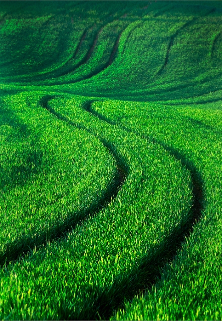 paysage22_05_10n01.jpg - .