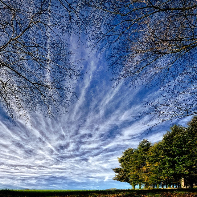 paysage27_02_11n02.jpg - .
