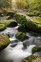 gouet17_10_08n01