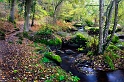 pano05_11_11n01