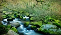 paysage13_03_11n02