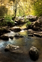 paysage13_05_10n01