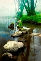 paysage16_04_11n02