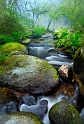 paysage16_04_11n03