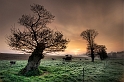 paysage18_04_10n03